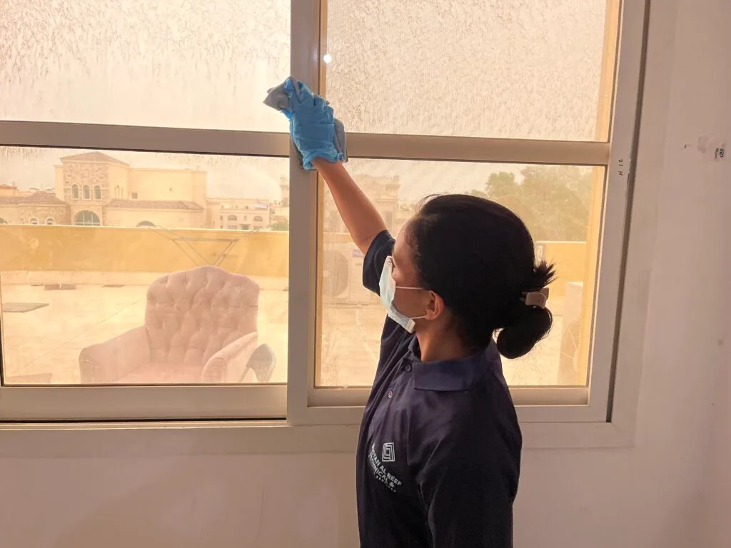 Window Cleaning Services